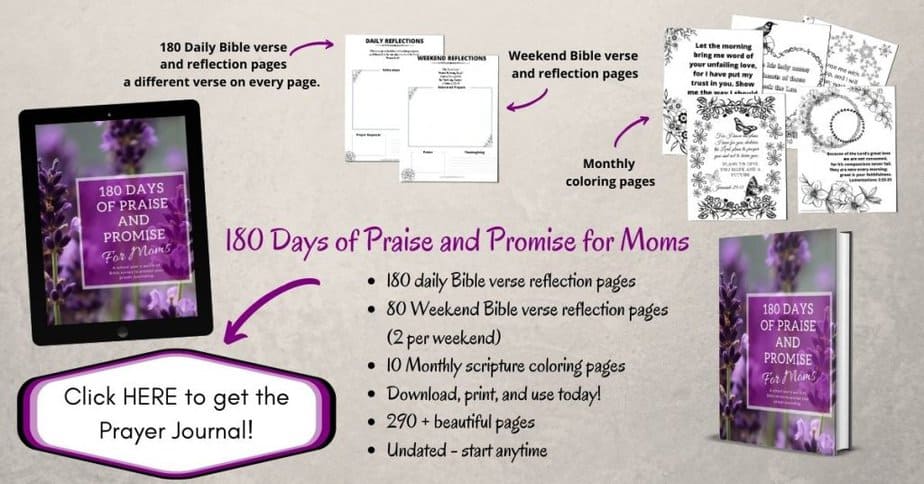 Prayer journal for moms - 180 days of praise and promise