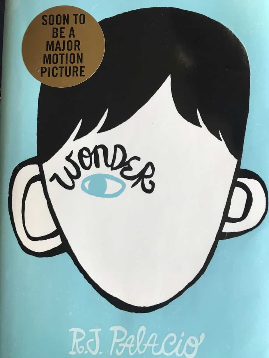 Wonder A Deep Dive Into R J Palacio s Celebrated Novel Lbibinders