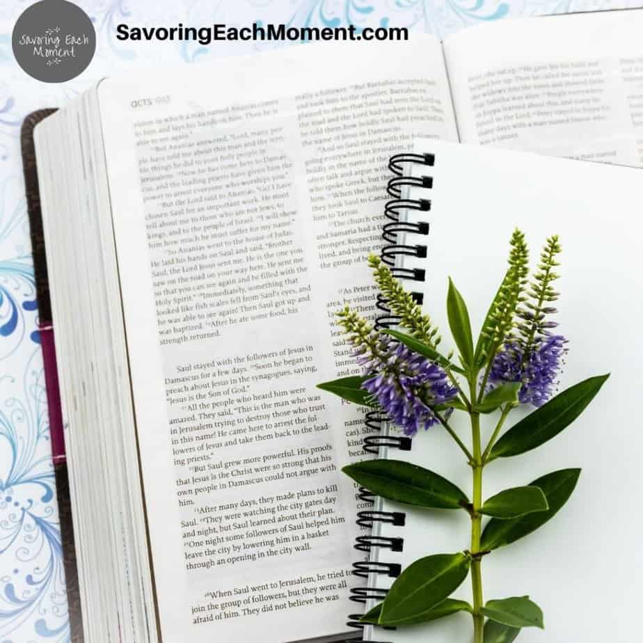 Open Bible with journal finding where to start reading the Bible