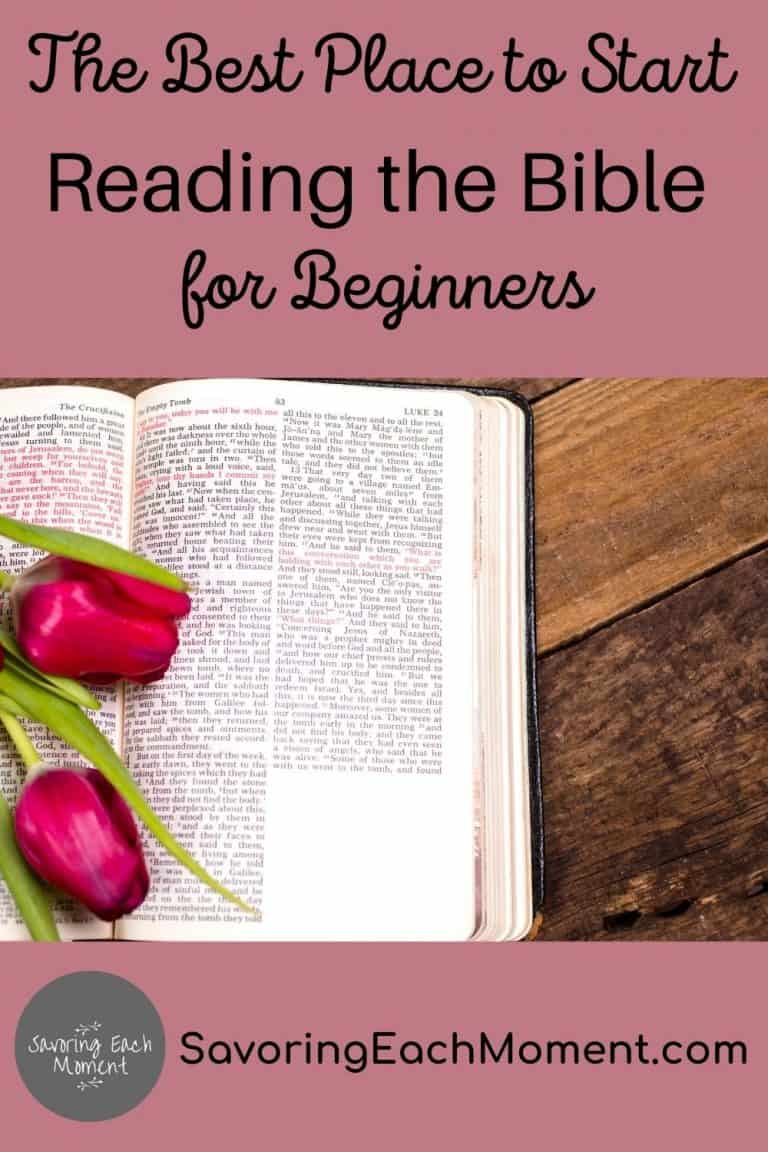 Where to Start Reading the Bible for Beginners Savoring Each Moment