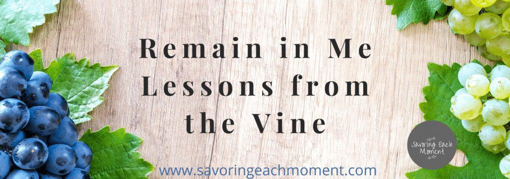 Bunch of Grapes - Remain in Me - Lessons from the Vine