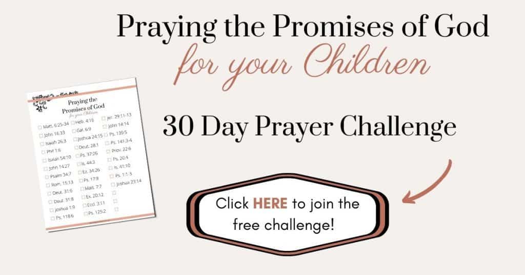 Praying the promises of God challenge signup