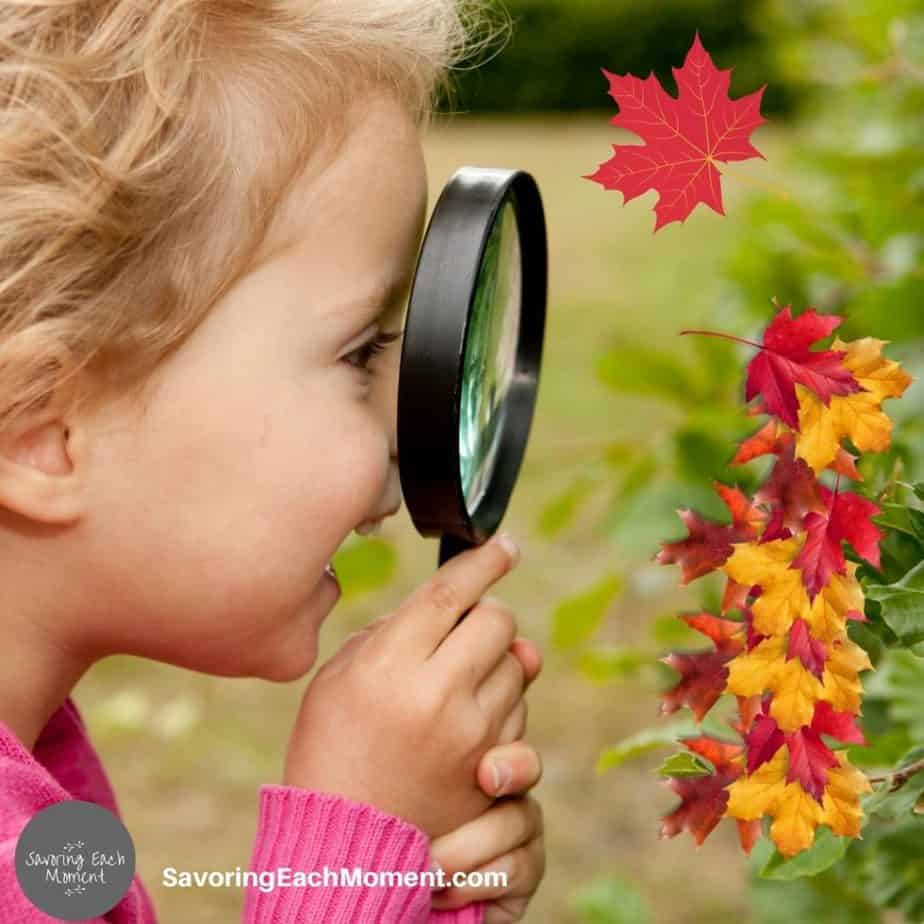 Preschooler looking through magnifying enjoying a fall science activity
