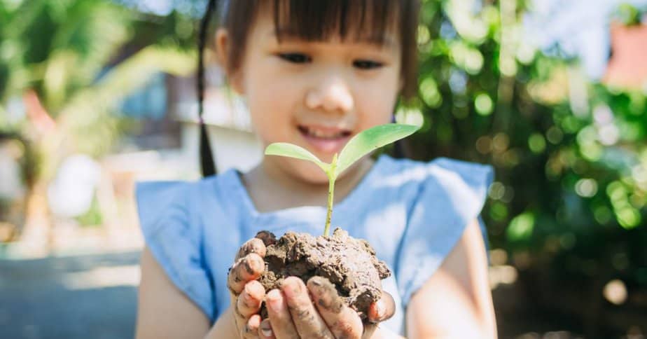 little girl holding a seedling in a little mound of dirt as one of the fun tree activities for kids